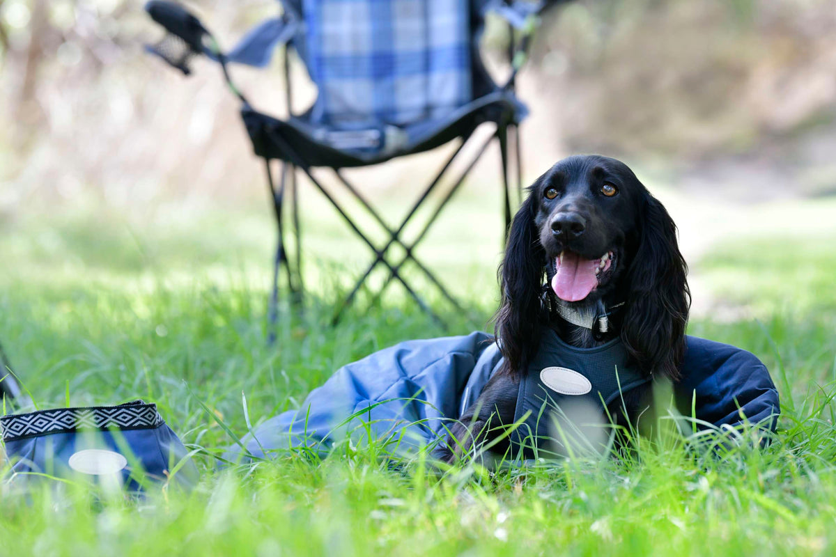 Weatherbeeta Dog Sleeping Bag Explorer Navy