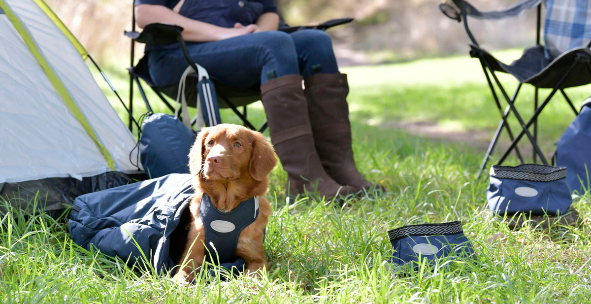 Weatherbeeta Dog Sleeping Bag Explorer Navy