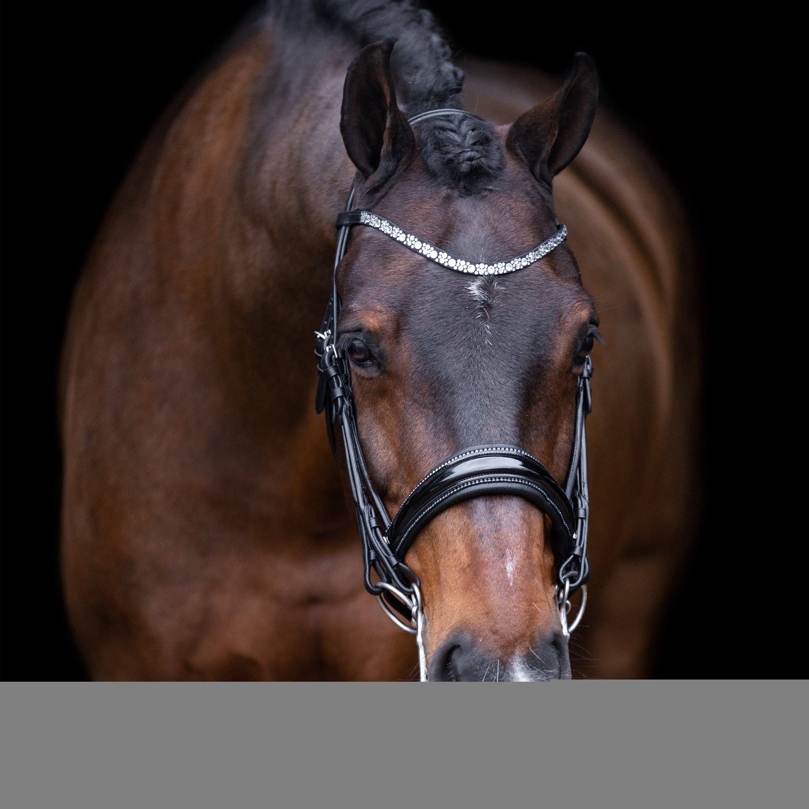 Imperial Riding Kandarenzaum IRHOlympia Schwarz/Silber