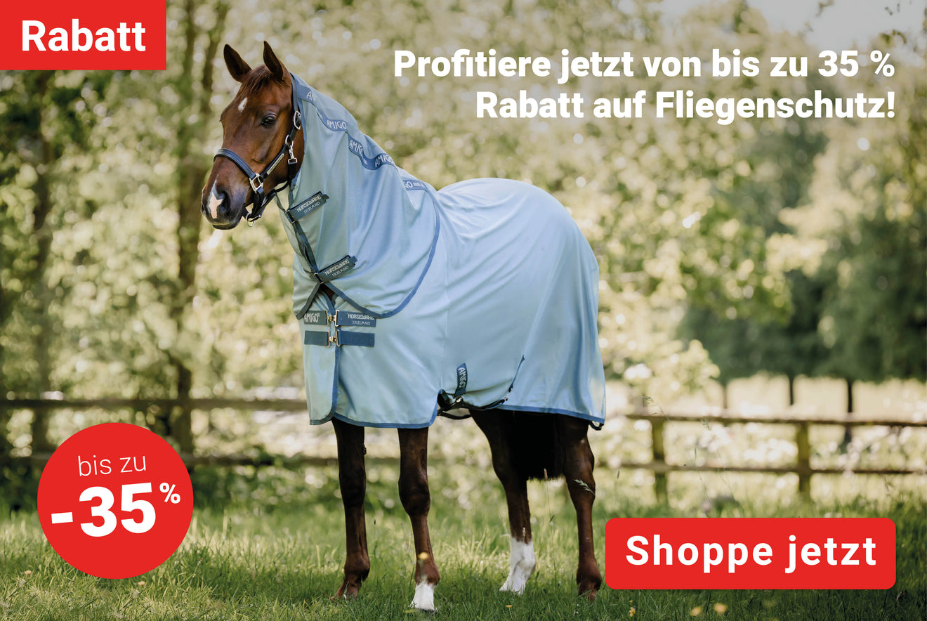Vliegenbescherming