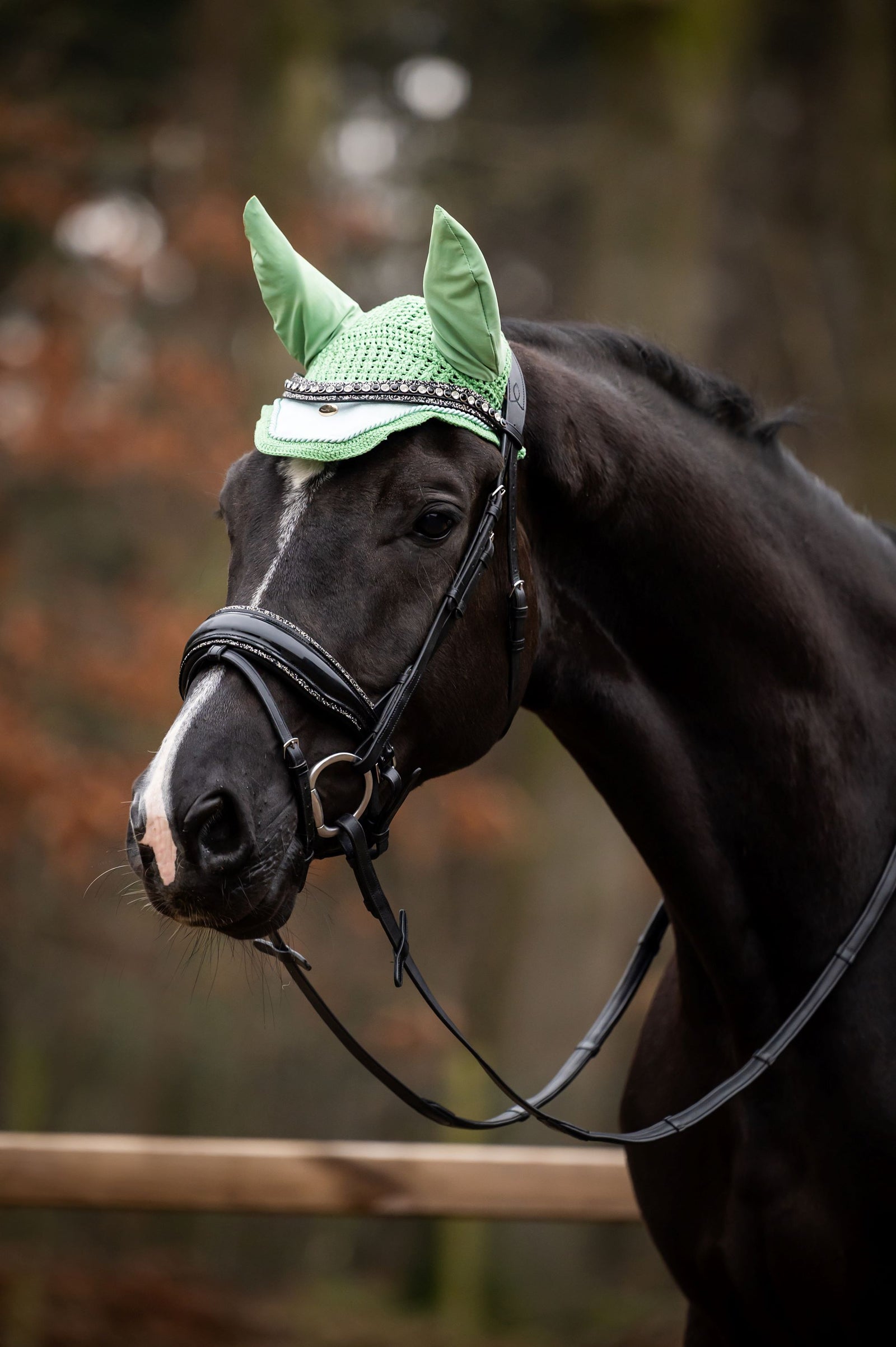 Showtime Fliegenhaube Spring Minzgrün