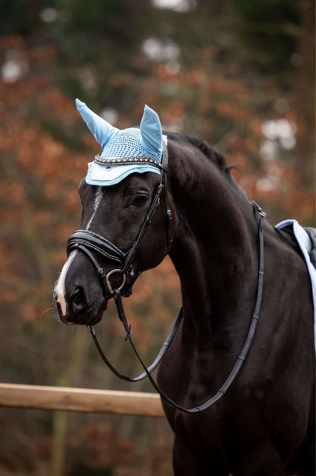 Showtime Fliegenhaube Spring Hellblau