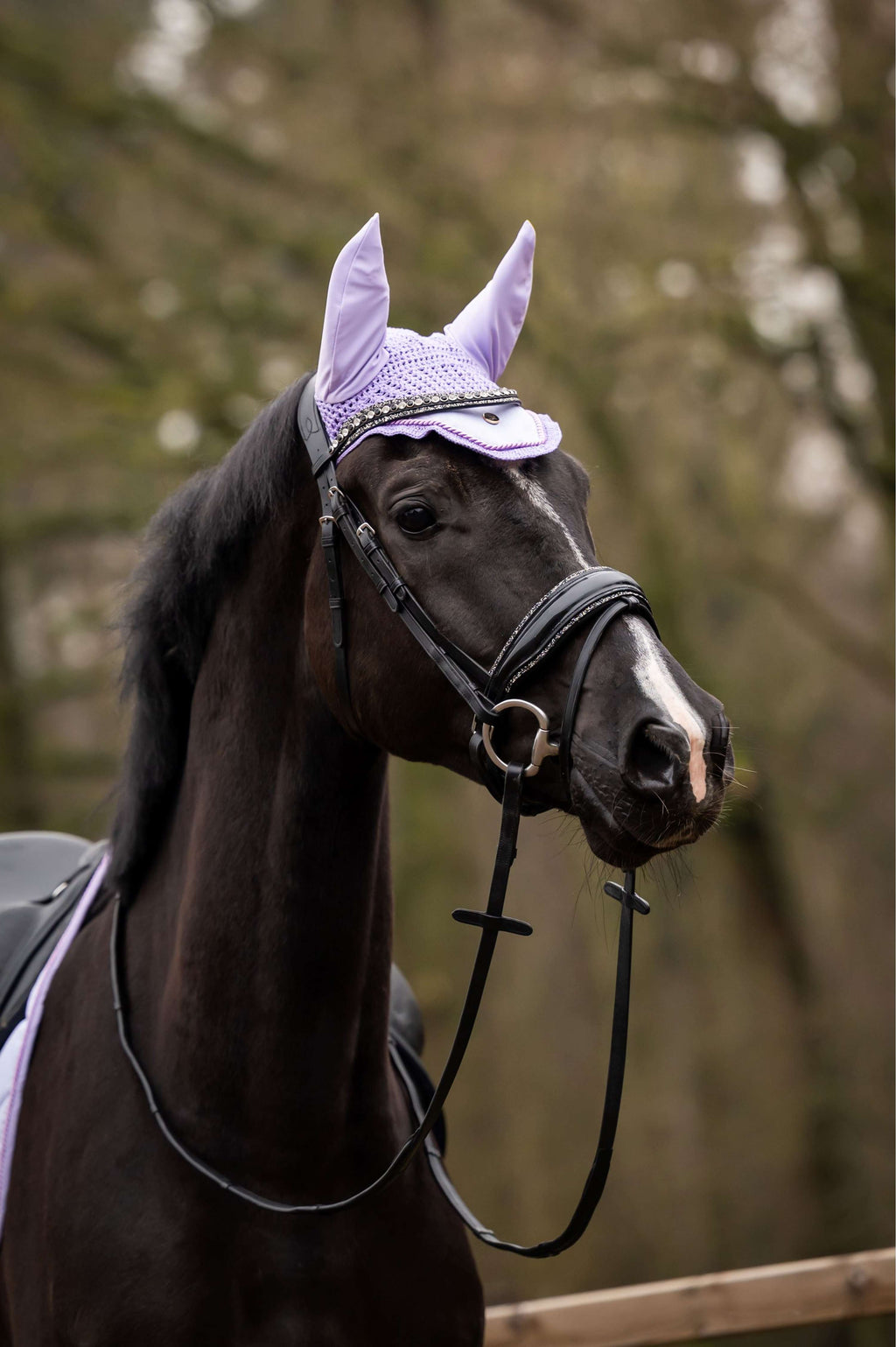 Showtime Fliegenhaube Spring Lila