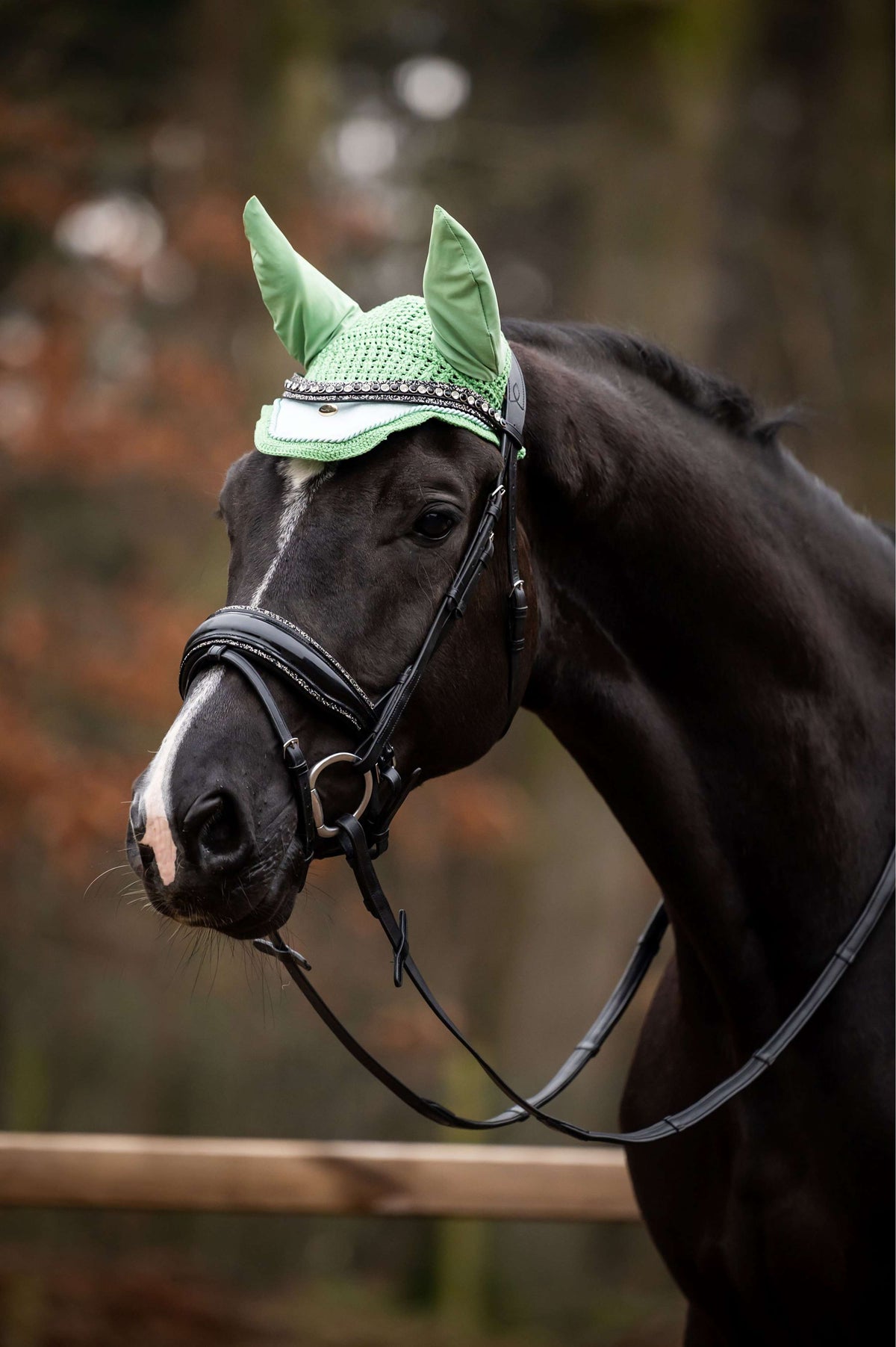 Showtime Fliegenhaube Spring Minzgrün