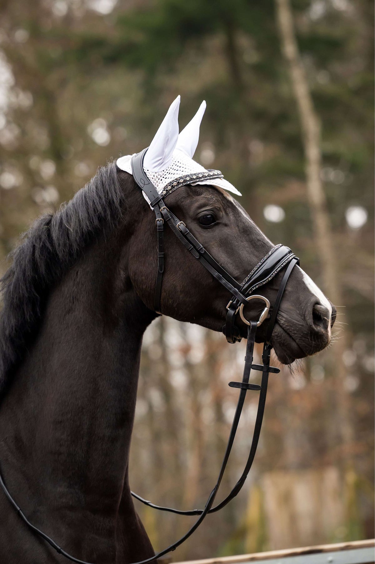 Showtime Fliegenhaube Spring Silber