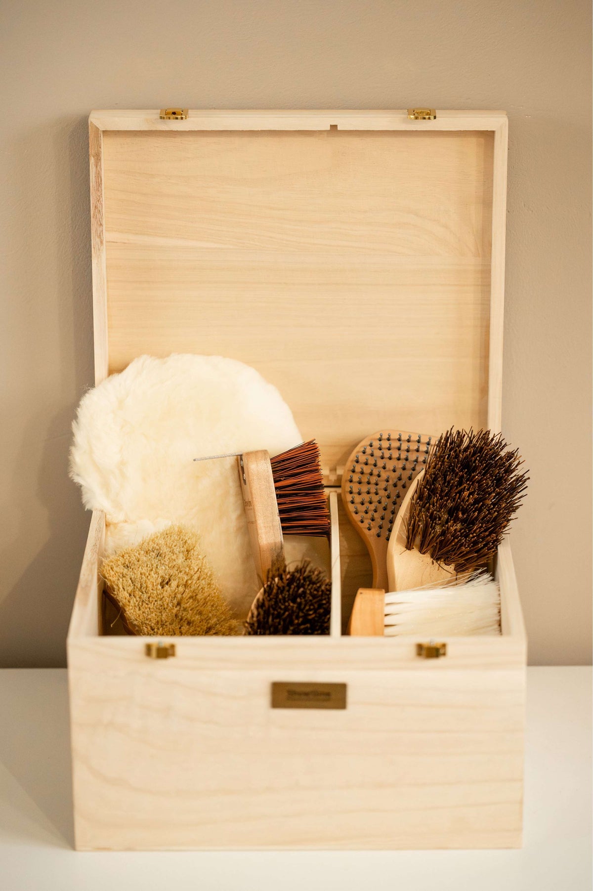 Showtime Putzkiste Luxe met borstels Beige