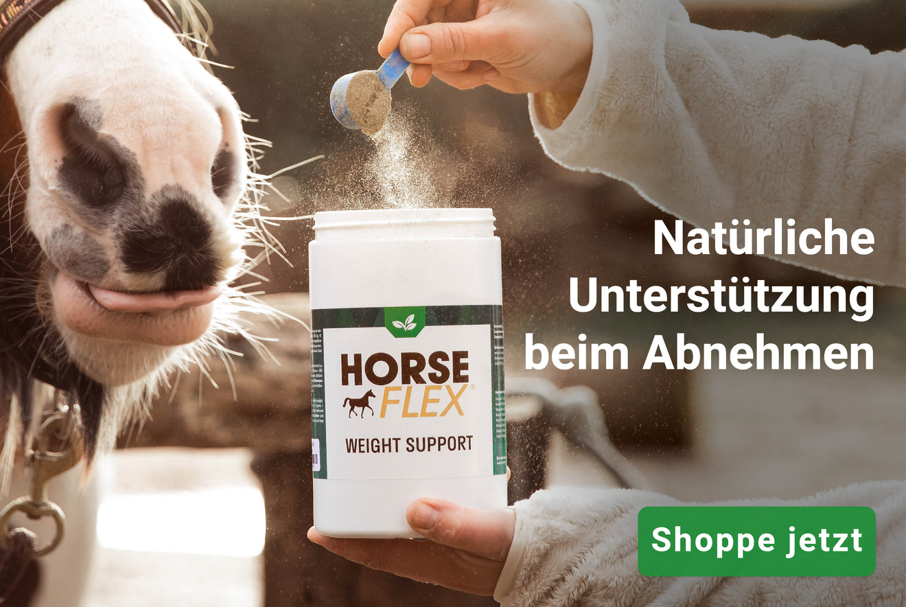 HorseFlex WeightSupport HorseFlex WeightSupport