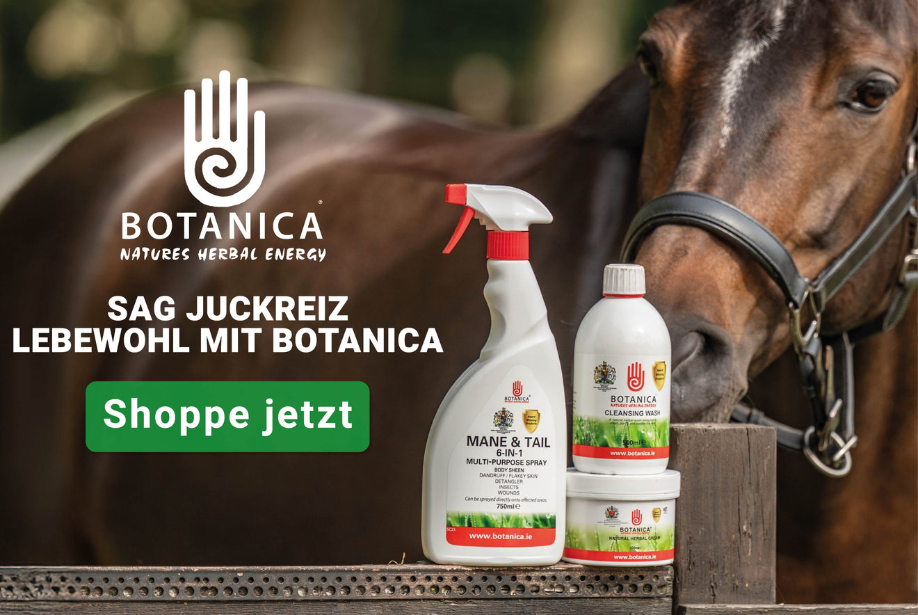 Botanica Botanica