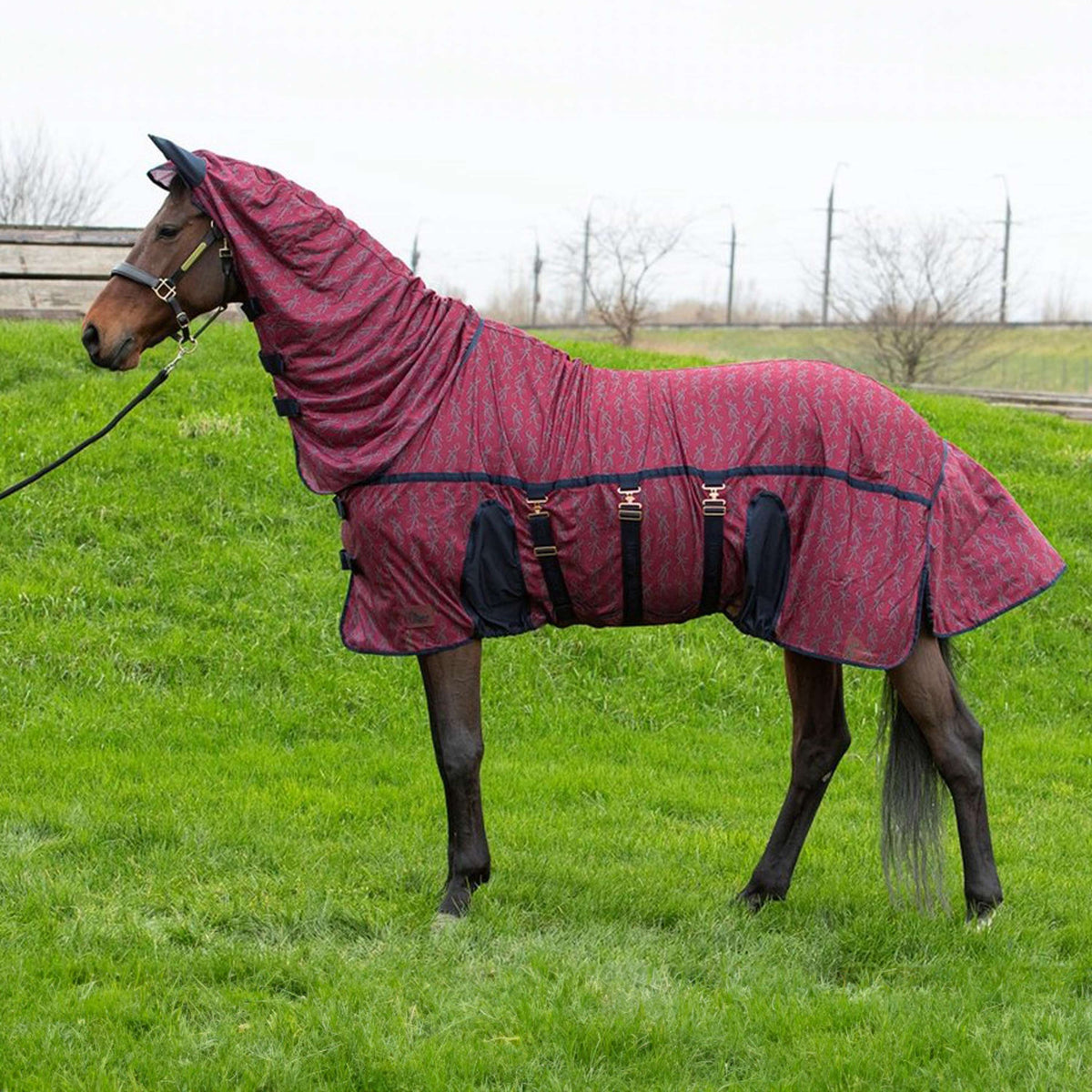 Harry's Horse Fliegendecke Mesh Superior Bordeaux