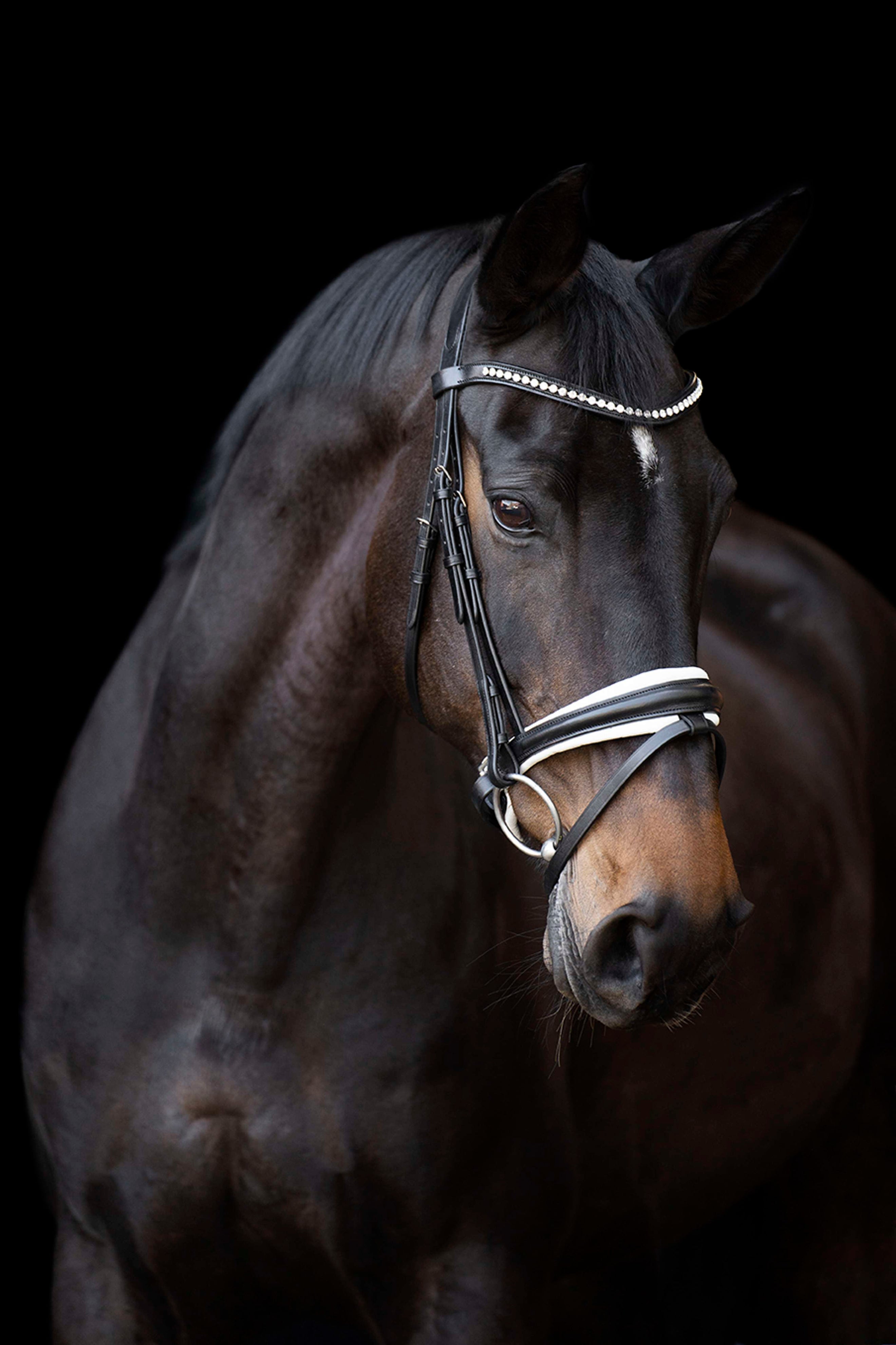 Imperial Riding Zaum IRHFria Trens Schwarz/Weiß