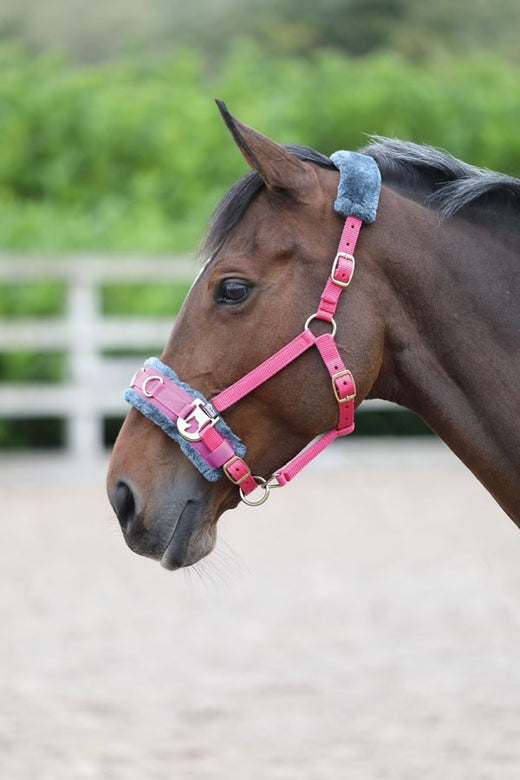 Shires Kapzaum Fleece Pink