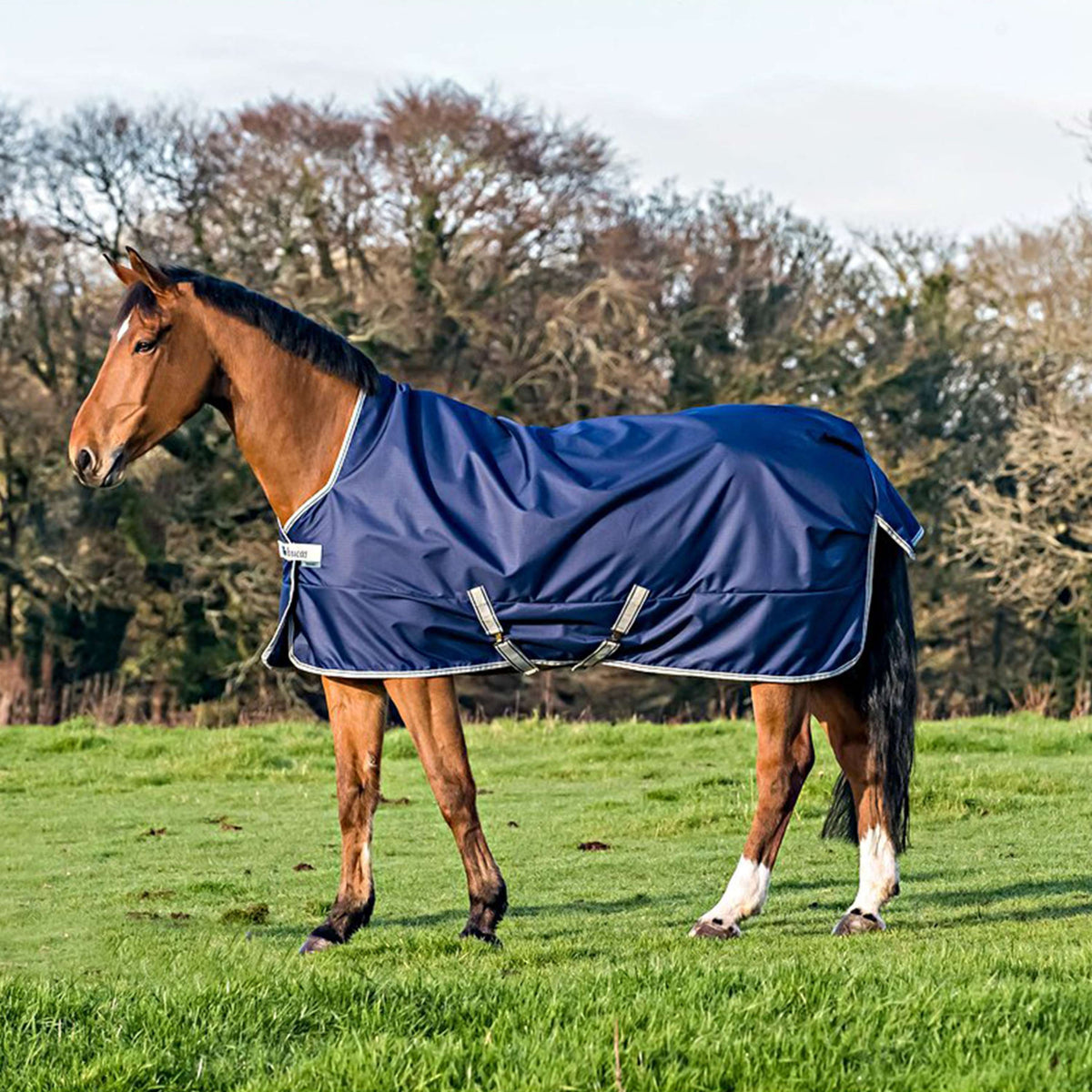 Bucas Freedom Turnout High Neck 150g Navy/Silber