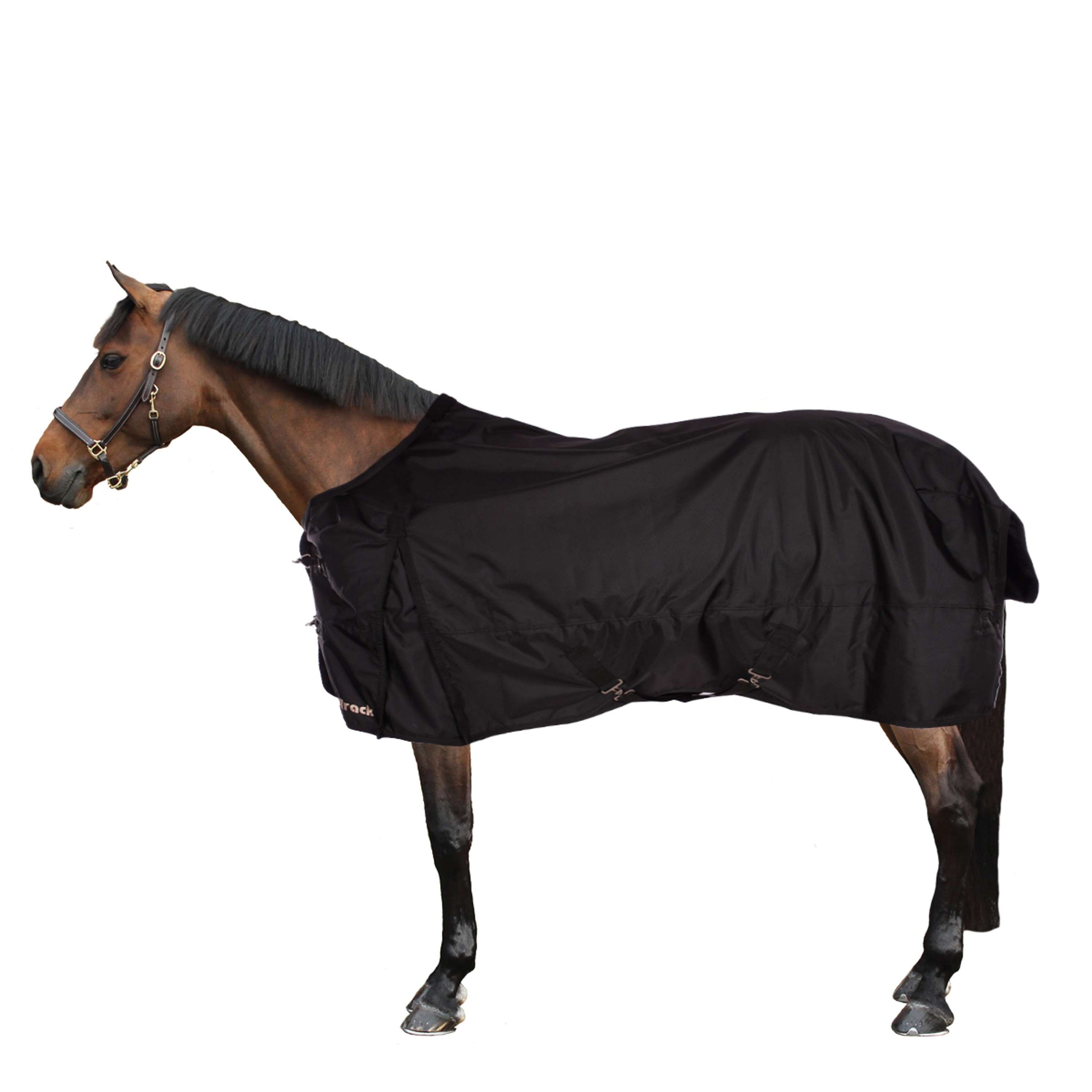 Back on Track Regendecke 1680D 0g Schwarz Back on Track Regendecke 1680D 0g Schwarz