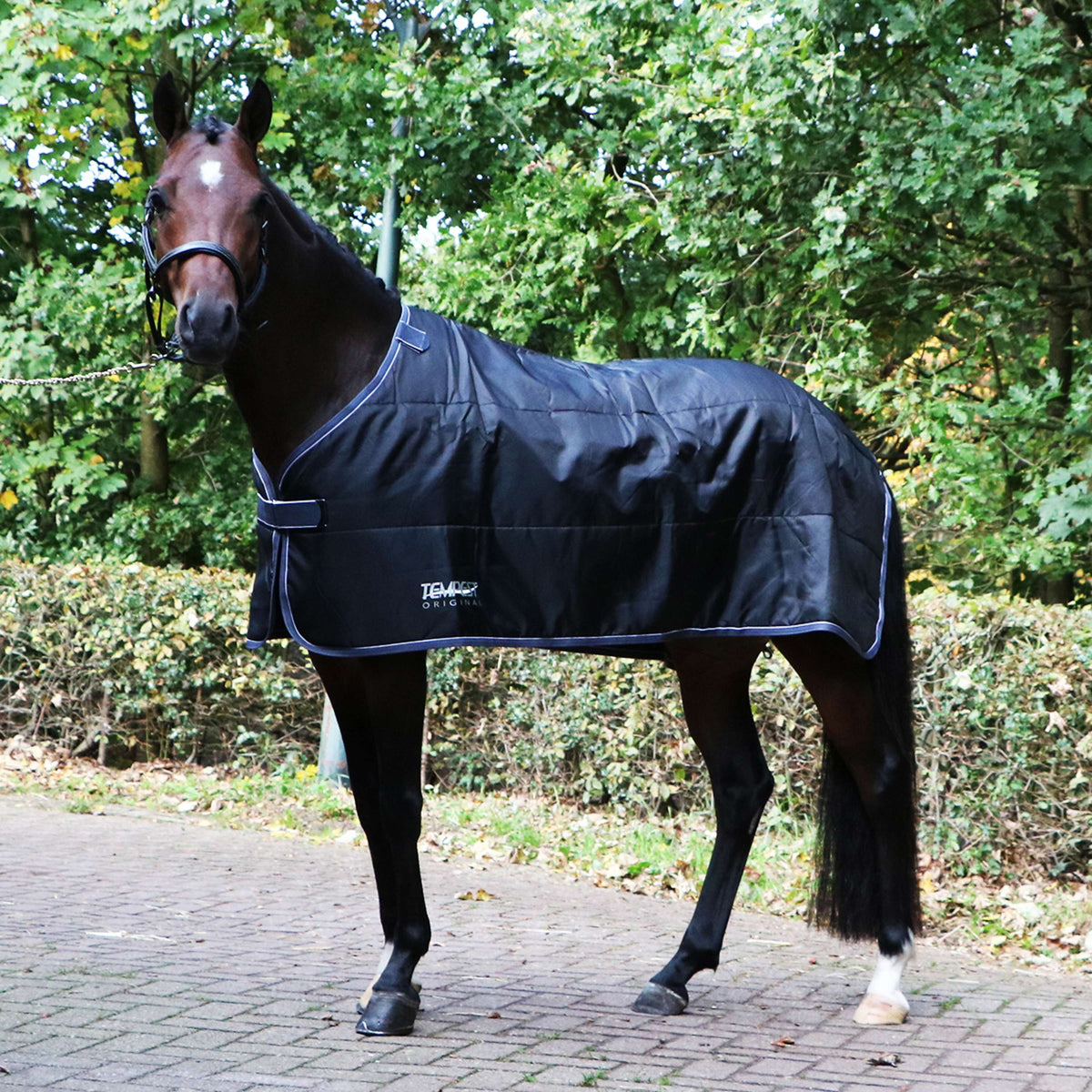 Shires Unterdecken Warma Thermal System 100g Schwarz