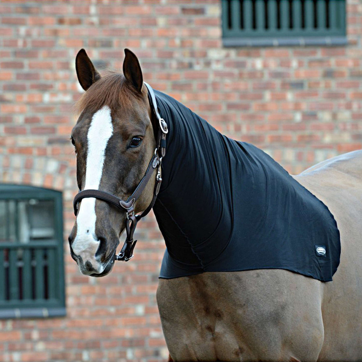 WeatherBeeta Neck Rug Stretch Schwarz