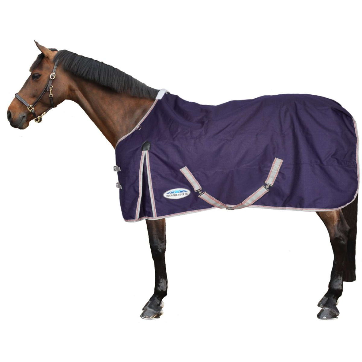 Weatherbeeta Medium Plus Turnout Rug Comfitec Essential Standard Neck 220g Navy/Silver/Red