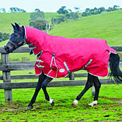 Weatherbeeta Heavy Turnout Rug Combo Neck Comfitec Classic 300g Red/Silver/Navy