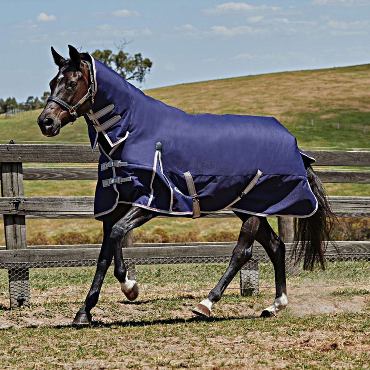 Weatherbeeta Lite Turnout Rug Plus Combo Neck Comfitec Essential 50g Navy/Silver/Red