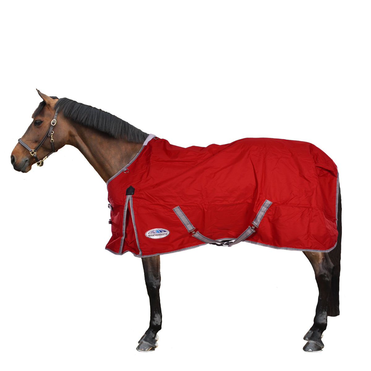 Weatherbeeta Medium Turnout Rug Comfitec Classic Standard Neck 220g Red/Silver/Navy