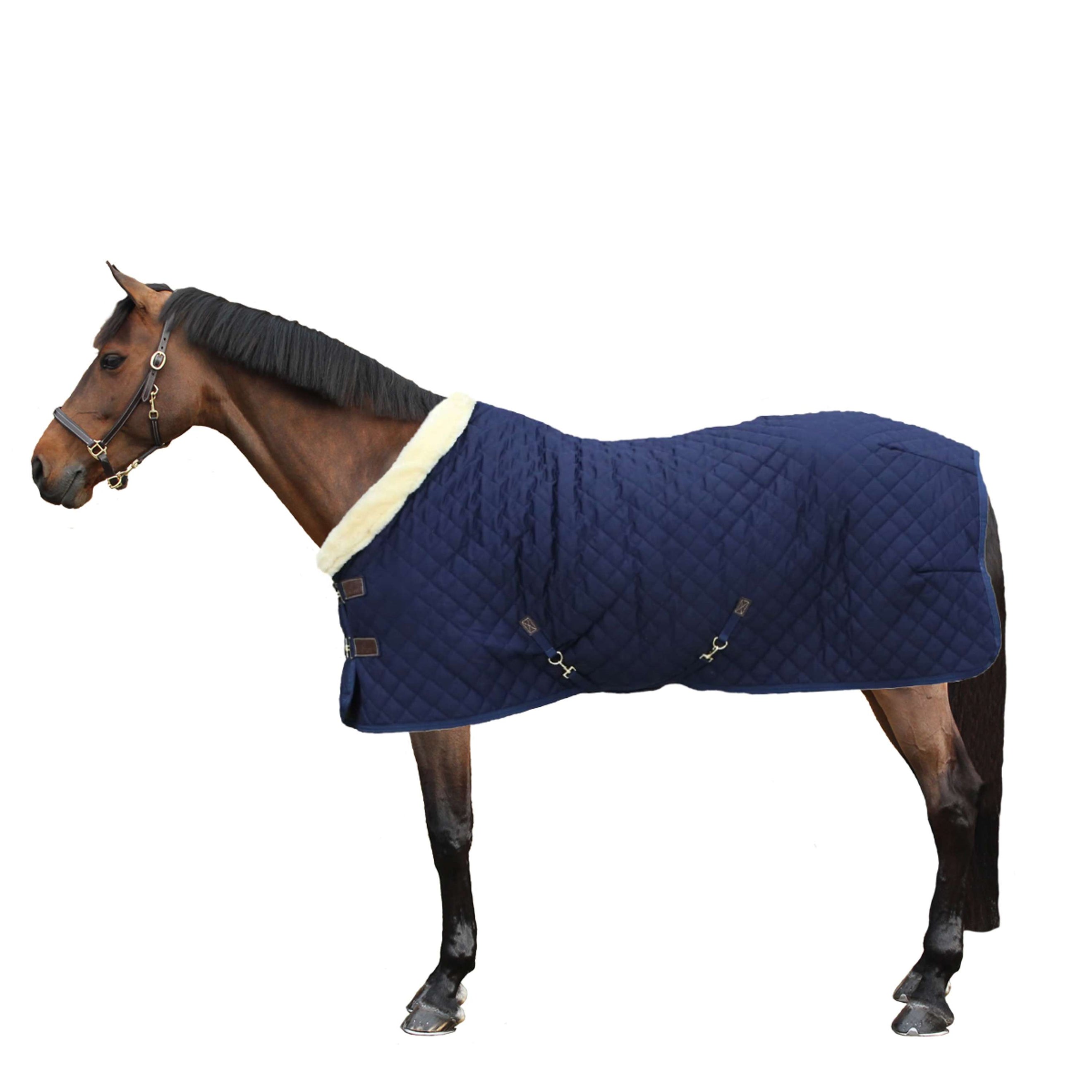 Kentucky Showdecke 160g Navy Kentucky Showdecke 160g Navy