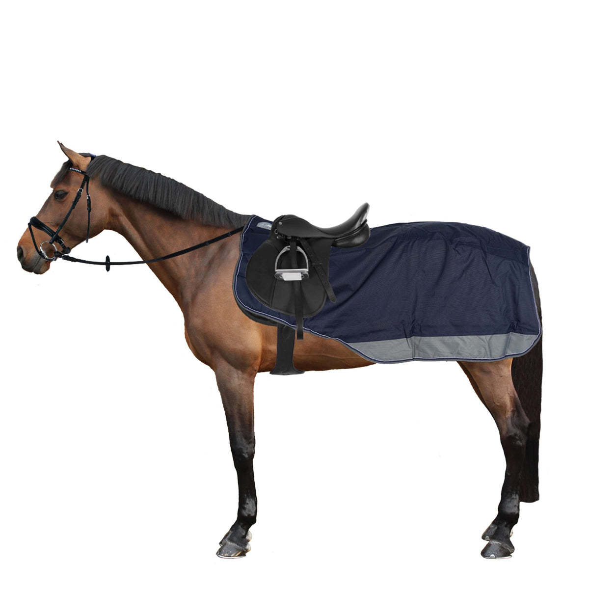 EQUITHÈME Ausreitdecke Tyrex Polar Fleece 600D Navy/Grau Dots