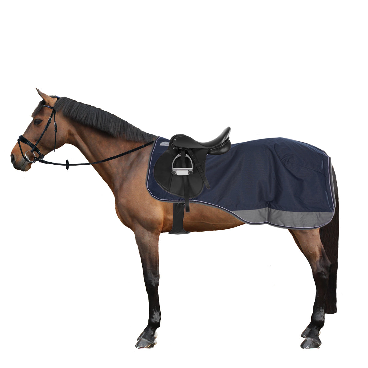 EQUITHÈME Ausreitdecke Tyrex Polycotton 600D Schwarz/Blau