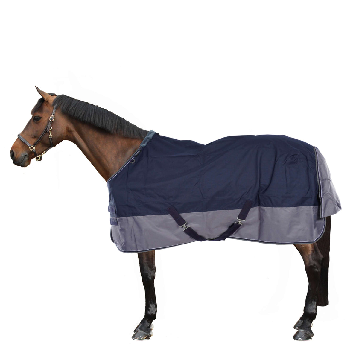 EQUITHÈME Turnout Rug Tyrex 600D 450g Navy/Grau Dots