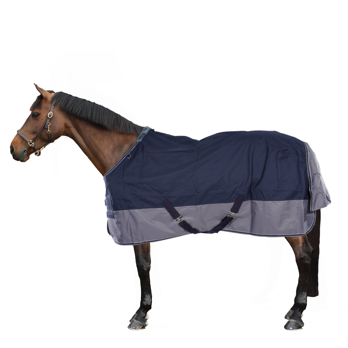 EQUITHÈME Turnout Rug Tyrex 600D 0g Navy/Grau Dots