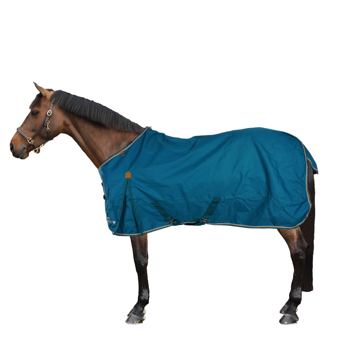 Shires Turnout Rug Lite 0g Teal