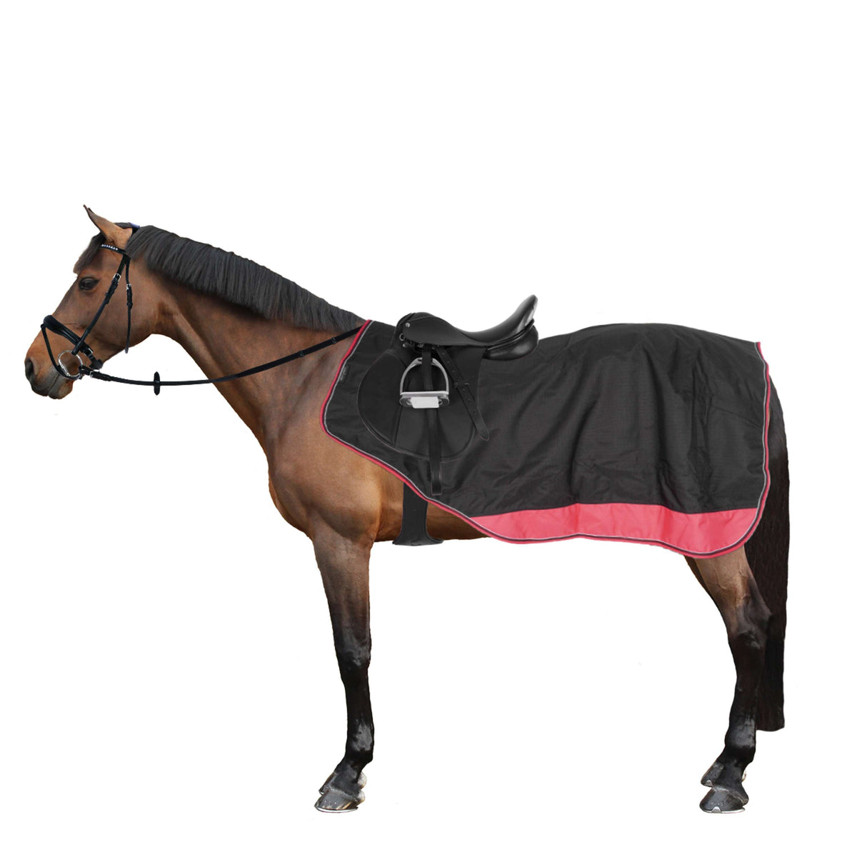 EQUITHÈME Ausreitdecke Tyrex 1200D Fleece Schwarz/Himbeere