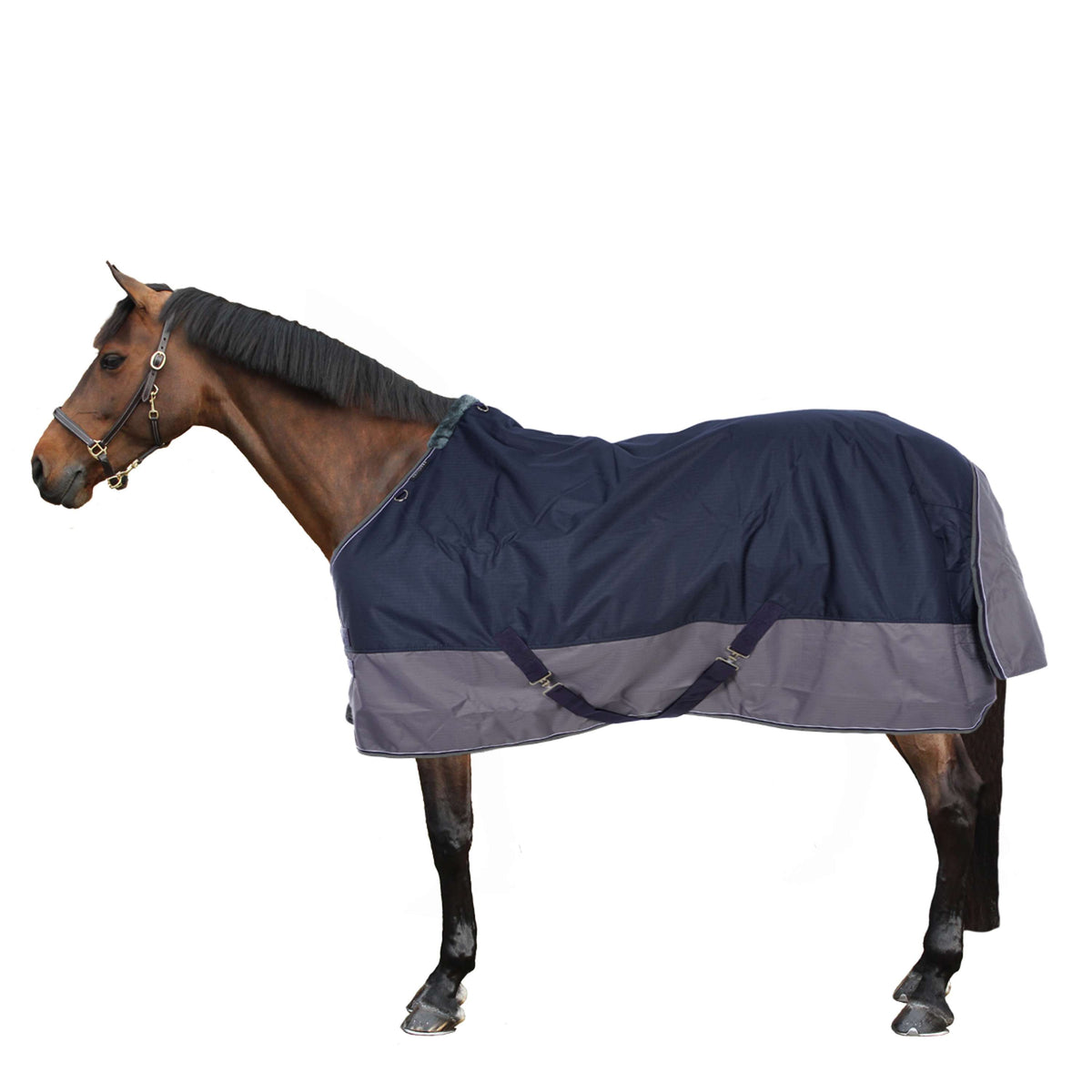 EQUITHÈME Regendecke Tyrex 600D 50g Navy/Grau Dots