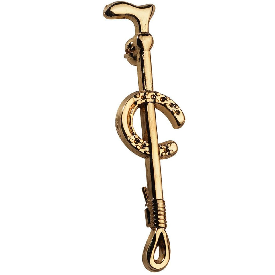 EQUITHÈME Plastronnadel Hufeisen Gold