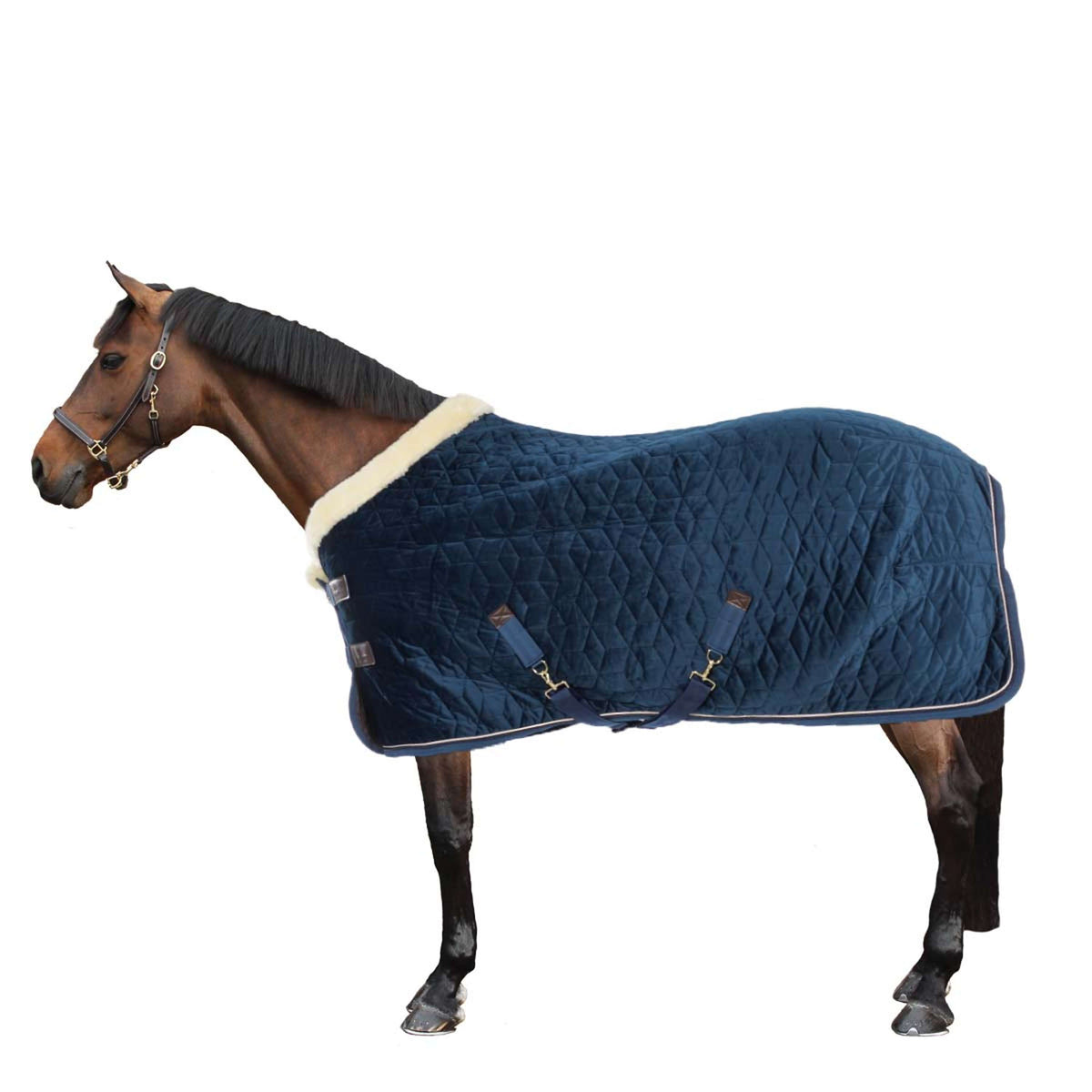 Kentucky Showdecke Velvet 160g Navy