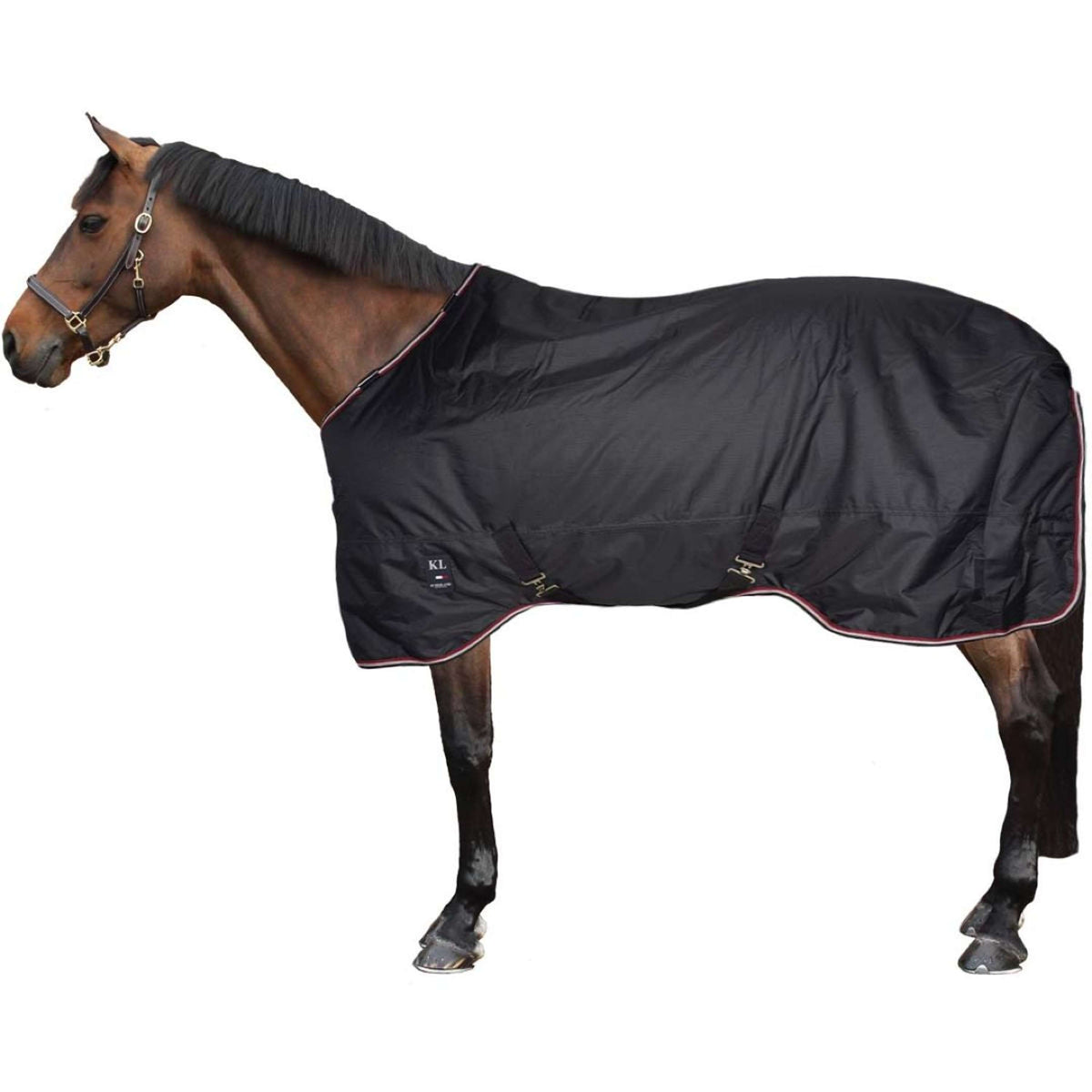 Kingsland Turnout Rug Primary Navy