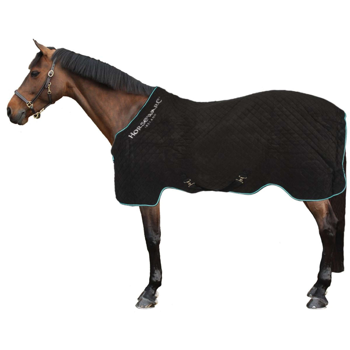 Horseware Cooler Autumn Schwarz/Aqua