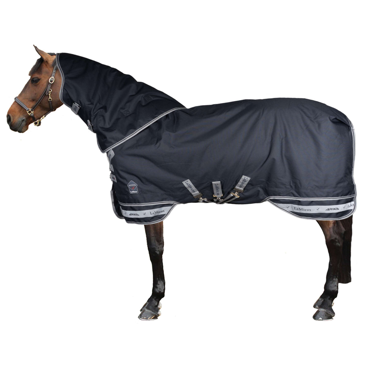 LeMieux Decke Arika Storm-Tek Turnout 100g Navy