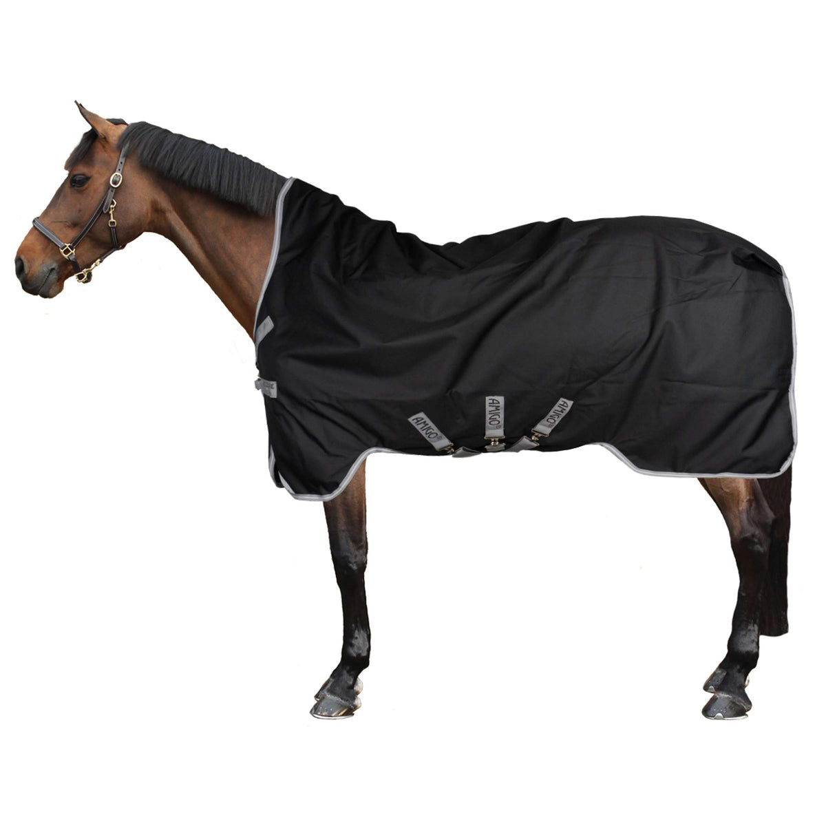 Amigo Bravo 12 Wug Medium 250g Black/Titanium Grey