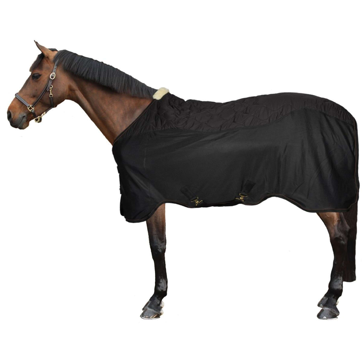 Kentucky Horsewear Transportdecke Combo Schwarz