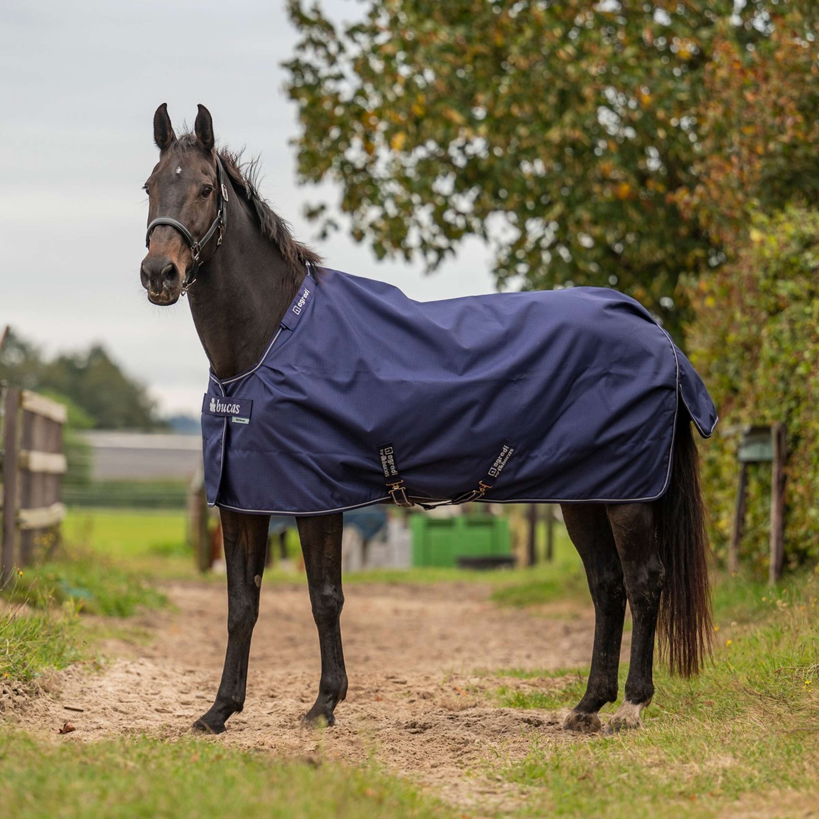 Agradi by Bucas Turnout Rug 100g Navy/Silber Agradi by Bucas Turnout Rug 100g Navy/Silber