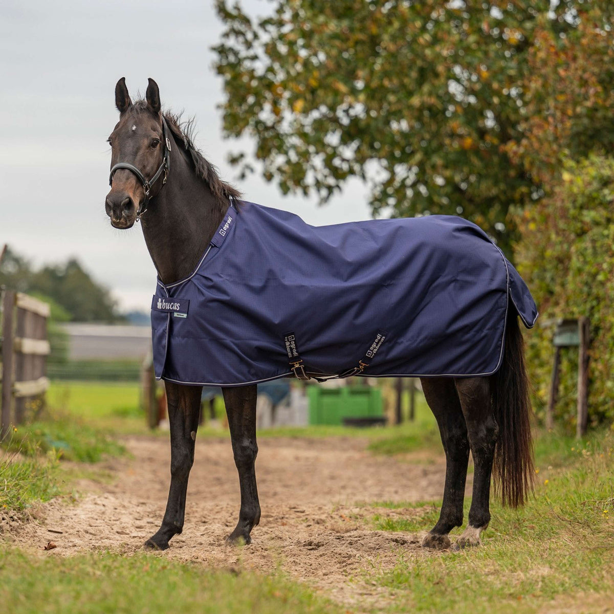 Agradi by Bucas Turnout Rug 200g Navy/Silber