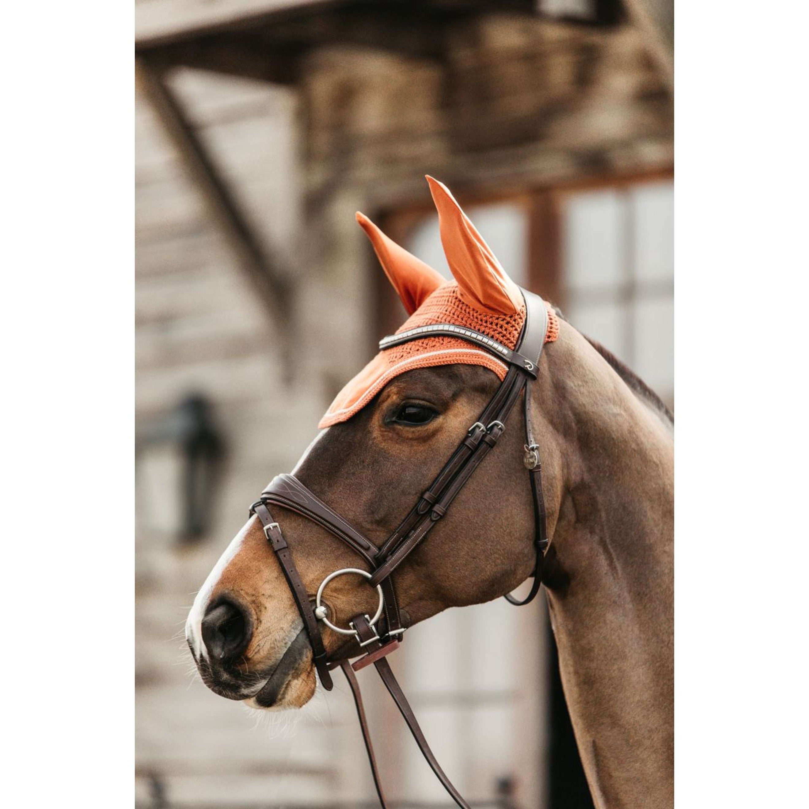 Kentucky Ohrnetz Wellington Velvet Orange Kentucky Ohrnetz Wellington Velvet Orange
