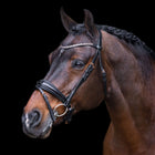 Imperial Riding Zaum IRHOlympia Schwarz/Rosegold