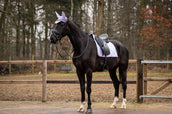 Showtime Schabracke Spring Dressur Lila
