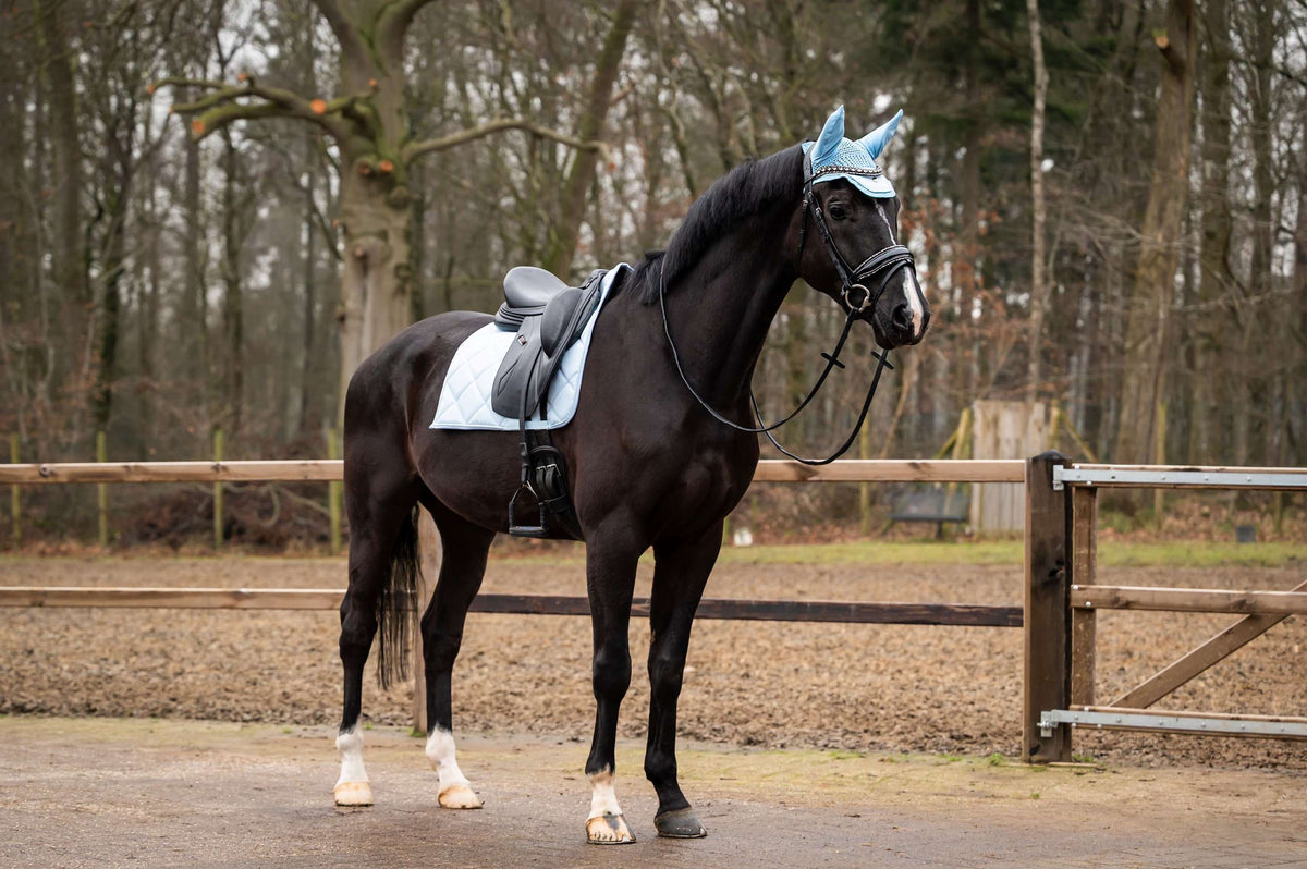 Showtime Schabracke Spring Dressur Hellblau