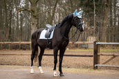 Showtime Schabracke Spring Dressur Hellblau