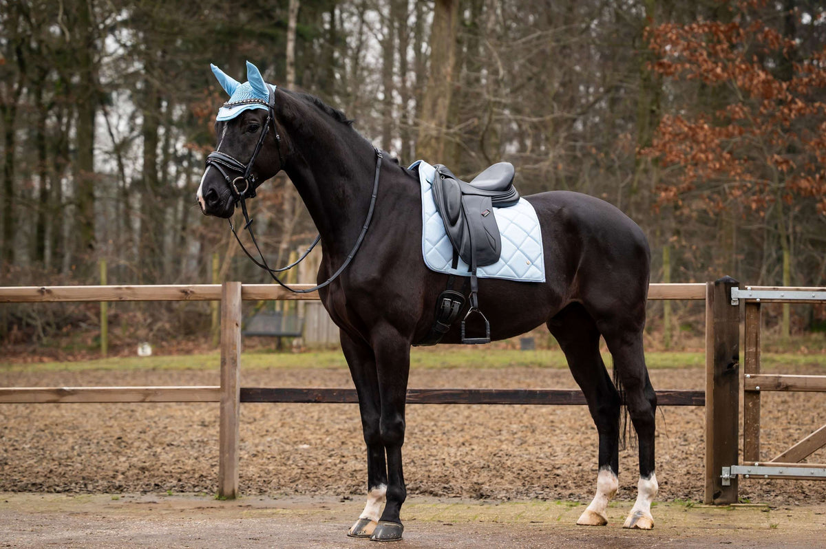 Showtime Schabracke Spring Dressur Hellblau
