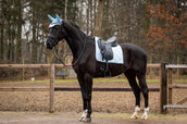 Showtime Schabracke Spring Dressur Hellblau