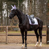 Showtime Schabracke Spring Dressur Lila