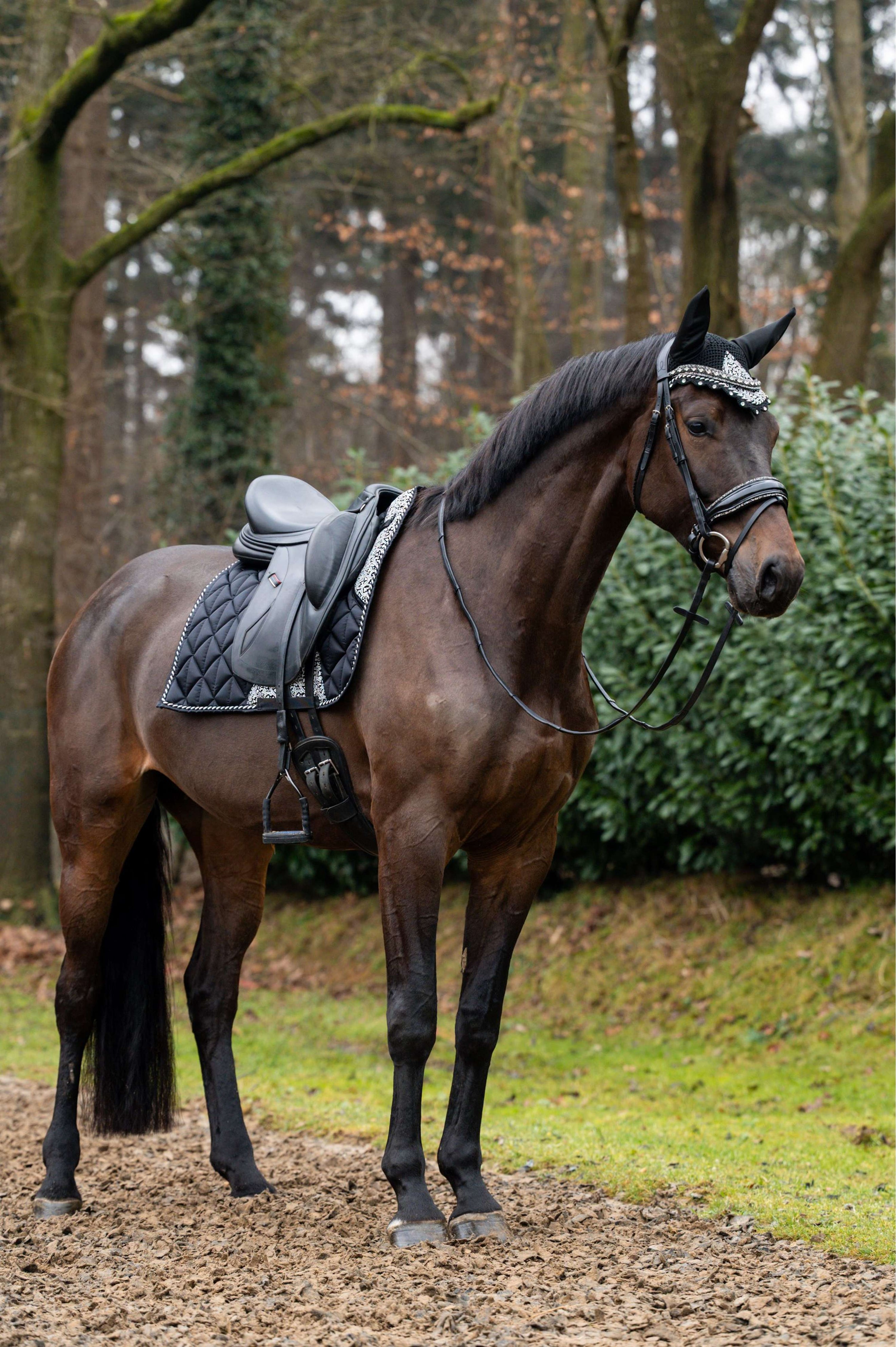 Showtime Schabracke Rio Dressur Schwarz Showtime Schabracke Rio Dressur Schwarz
