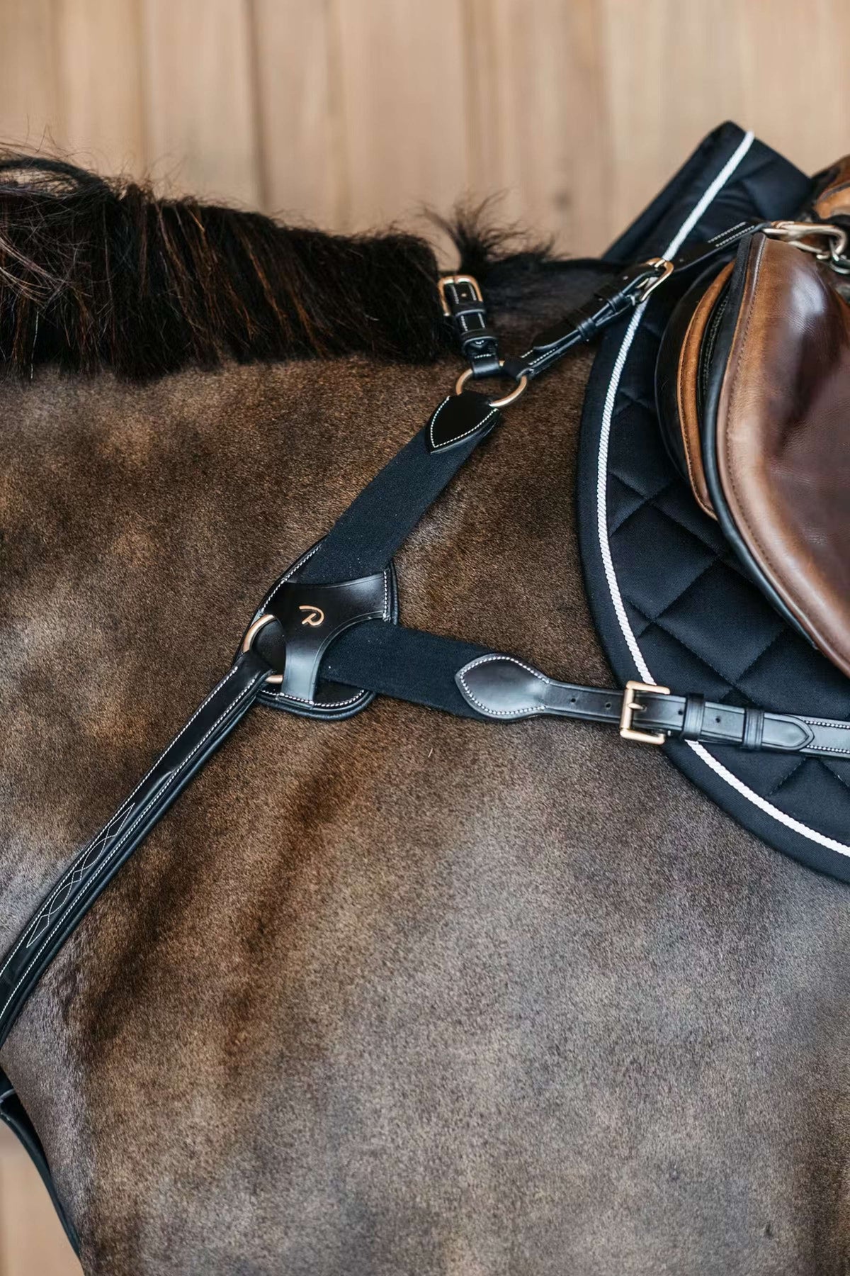 Dyon Brustgeschirr 5 points Elastik Schwarz